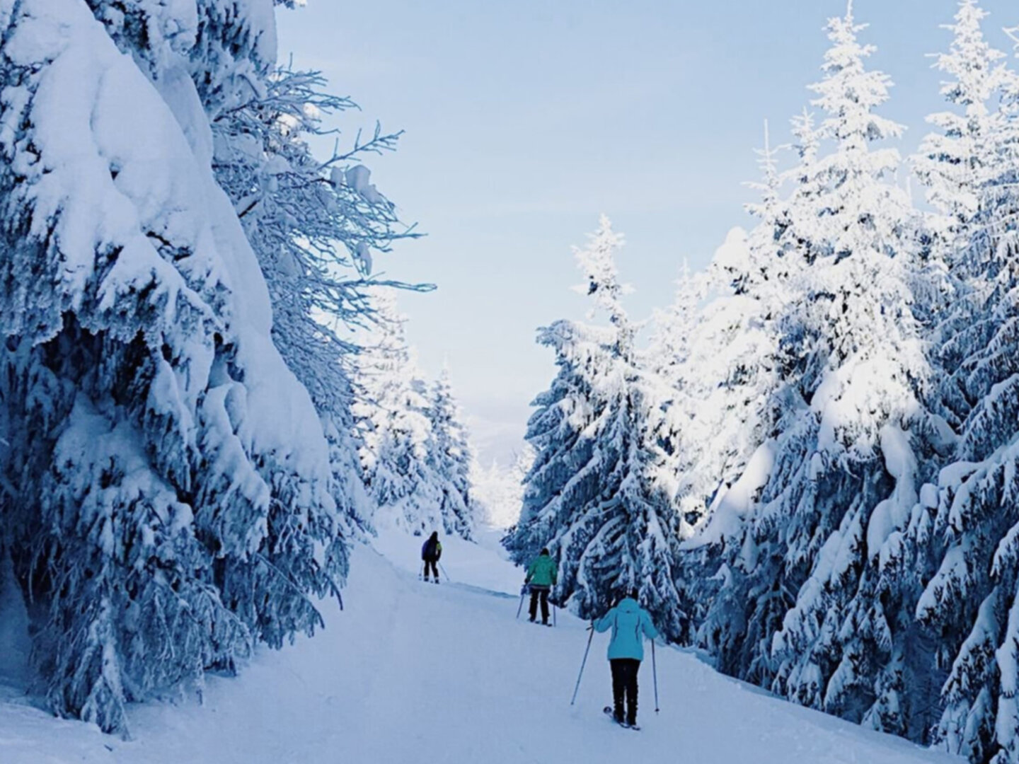 Winter hiking tours - snowshoeing in Bakuriani 